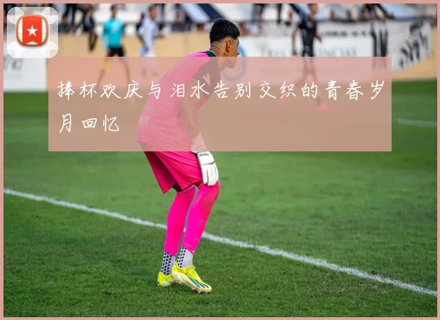 捧杯欢庆与泪水告别交织的青春岁月回忆