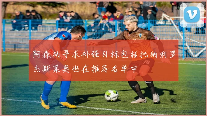 阿森纳寻求补强目标包括托纳利罗杰斯莱奥也在推荐名单中