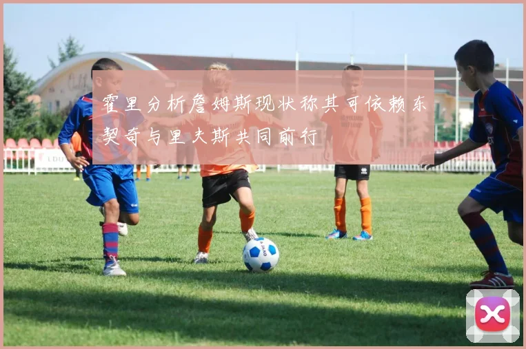 霍里分析詹姆斯现状称其可依赖东契奇与里夫斯共同前行