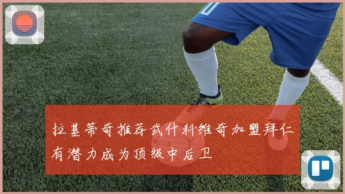 拉基蒂奇推荐武什科维奇加盟拜仁有潜力成为顶级中后卫